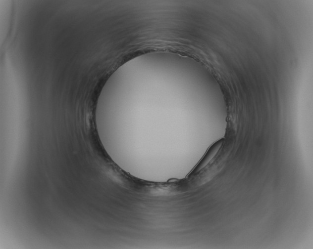 X0000113180235200909041000