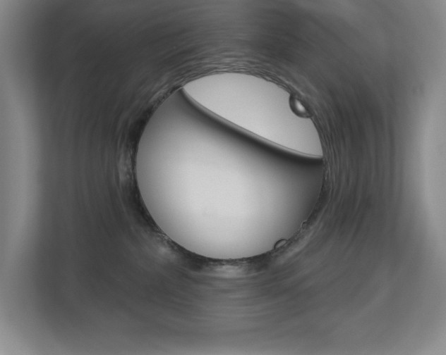 X0000113180236200909041000