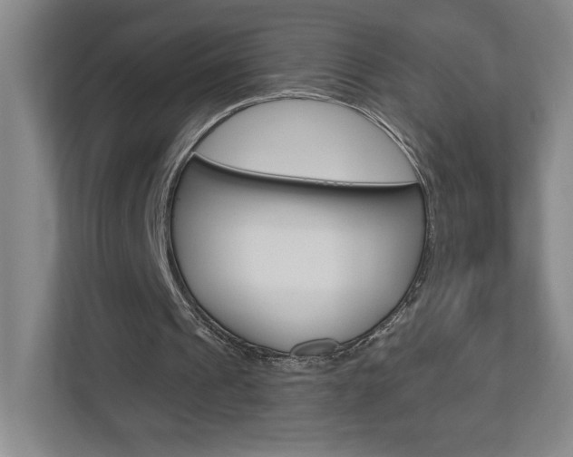 X0000113180241200909041000