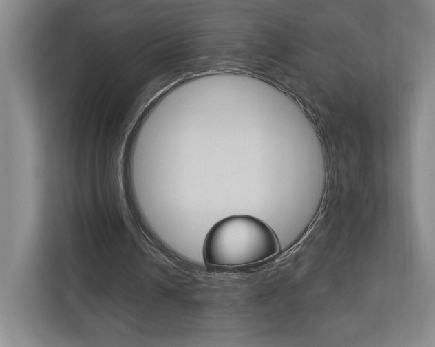 X0000113180242200909041000