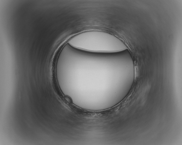 X0000113180243200909041000