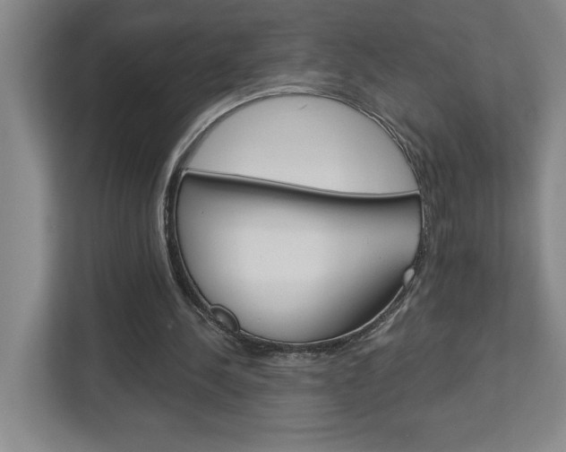X0000113180244200909041000