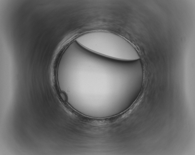 X0000113180245200909041000