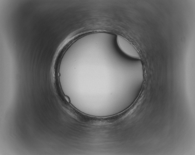 X0000113180246200909041000