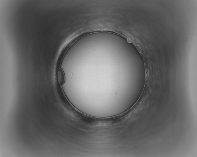X0000113180248200909041000
