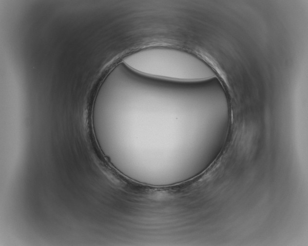 X0000113180249200909041000