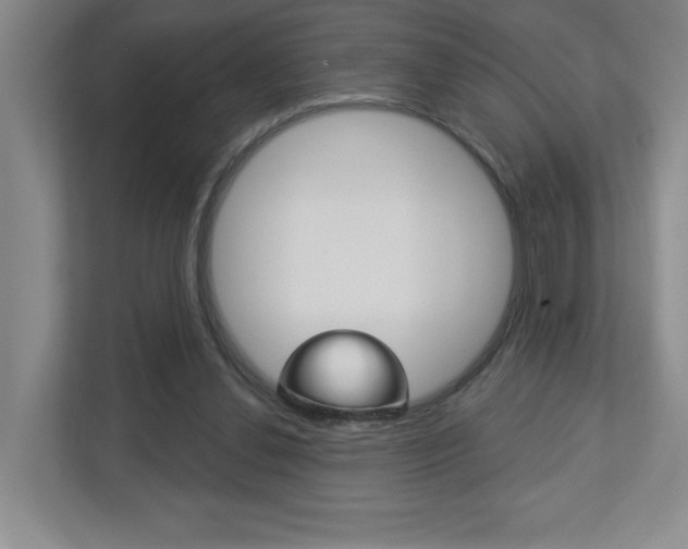 X0000113180252200909041000