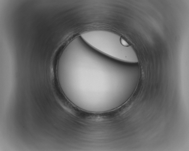 X0000113180254200909041000