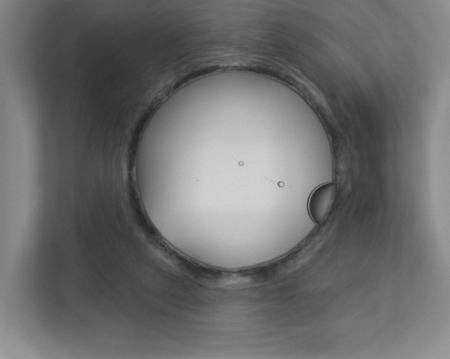 X0000113180257200909041000
