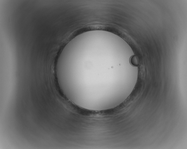X0000113180259200909041000