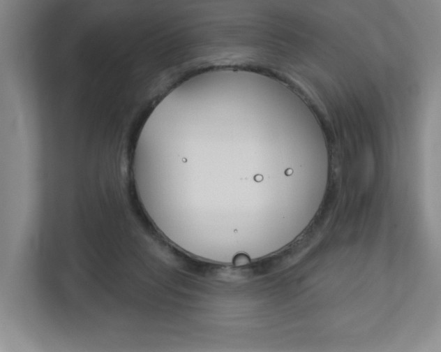 X0000113180261200909041000