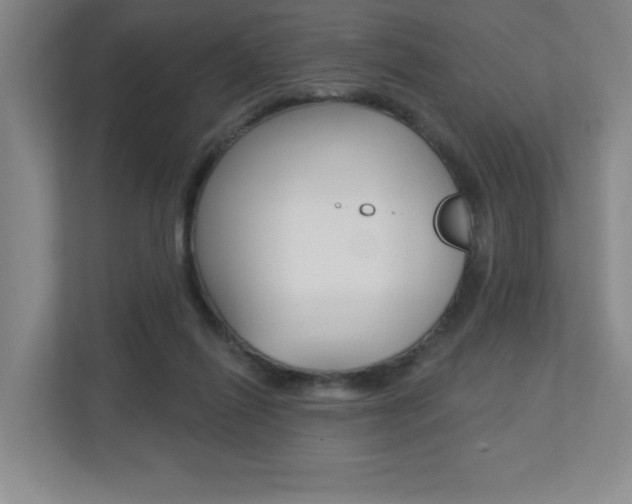 X0000113180262200909041000
