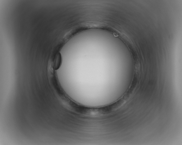 X0000113180264200909041000