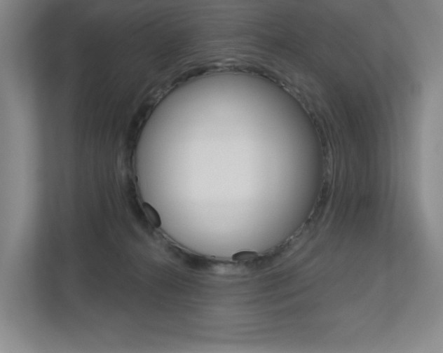 X0000113180272200909041000