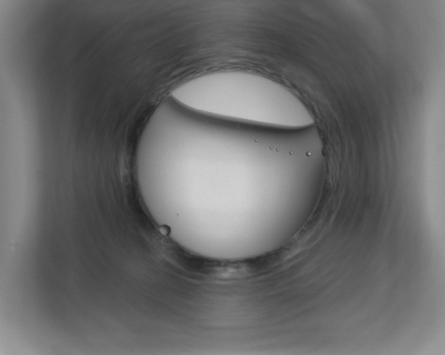 X0000113180274200909041000