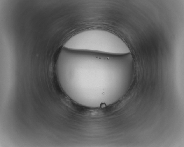 X0000113180275200909041000