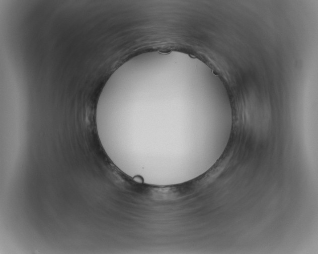 X0000113180281200909041000