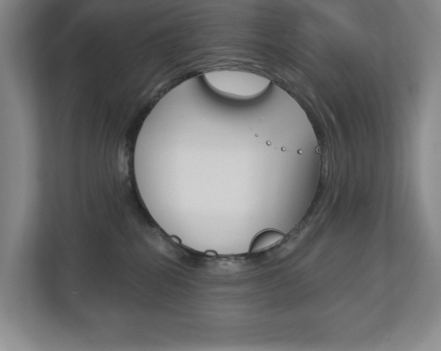 X0000113180282200909041000