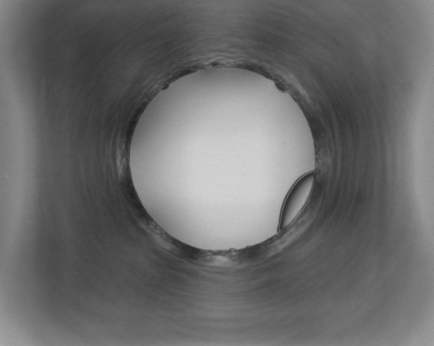 X0000113180285200909041000