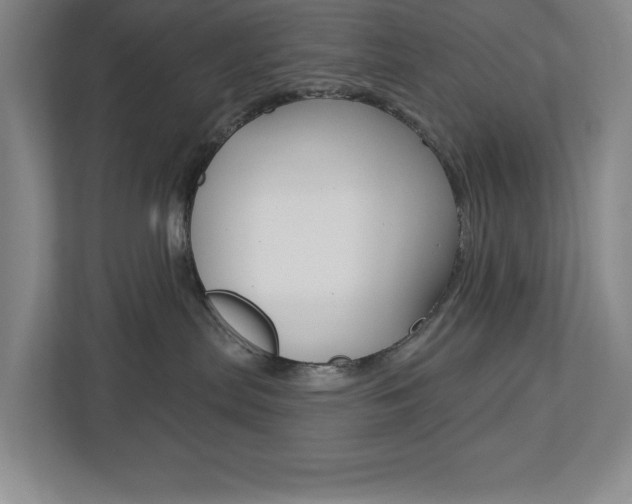 X0000113180287200909041000