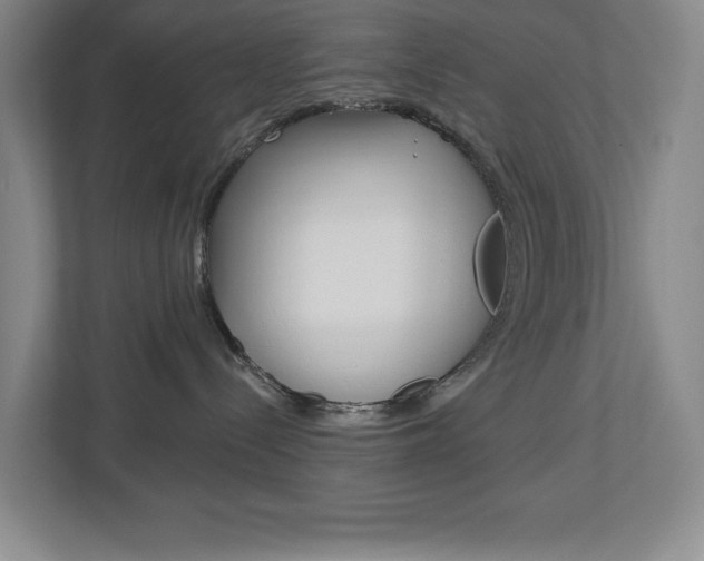 X0000113180288200909041000
