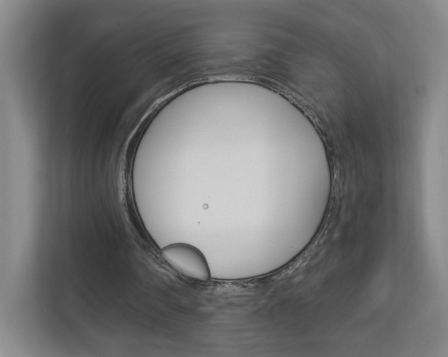 X0000113180290200909041000