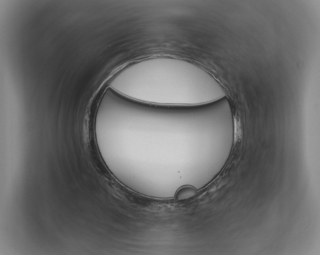 X0000113180291200909041000