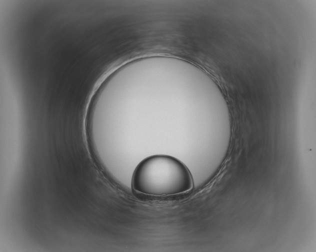 X0000113180292200909041000