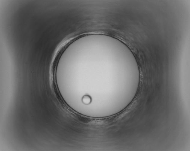 X0000113180294200909041000