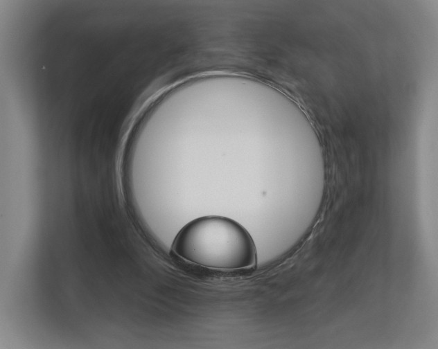 X0000113180296200909041000