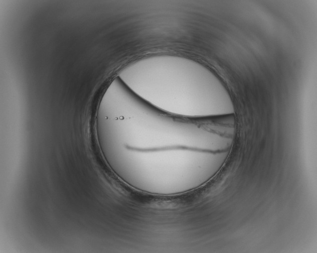 X0000113180299200909041000