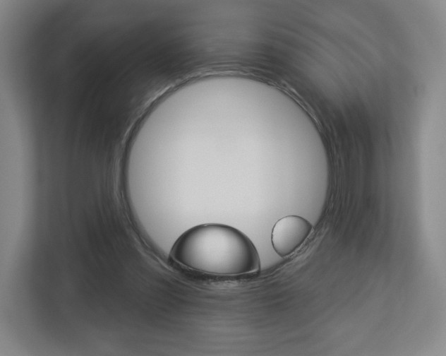 X0000113180301200909041000