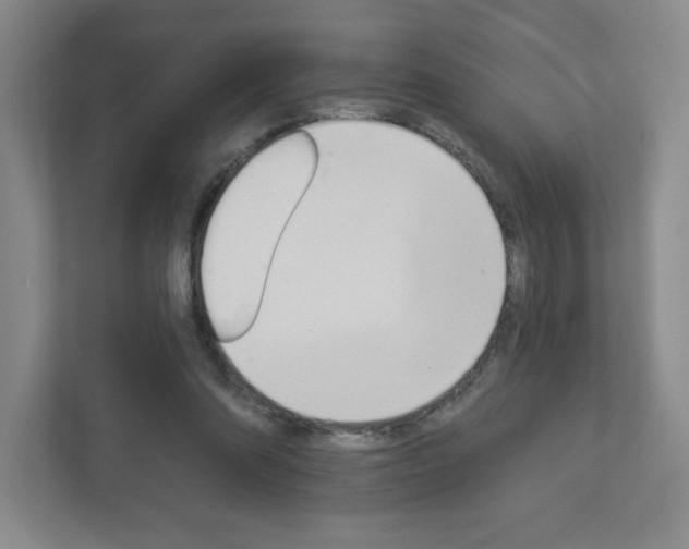 X0000113180302200909040959
