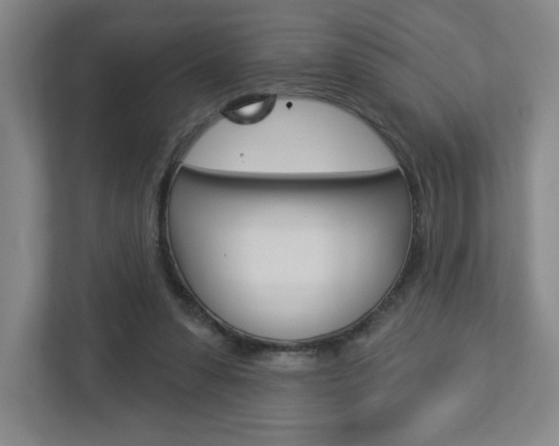 X0000113180303200909040959