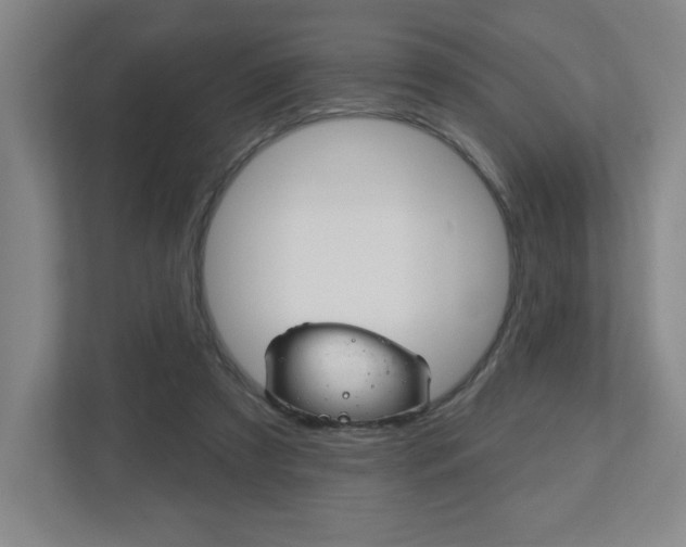X0000113180305200909040959