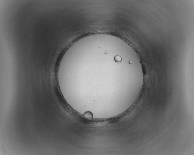 X0000113180306200909040959