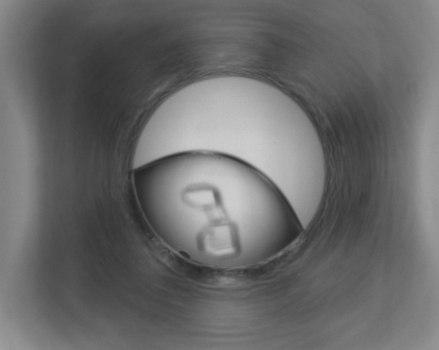 X0000113180308200909040959