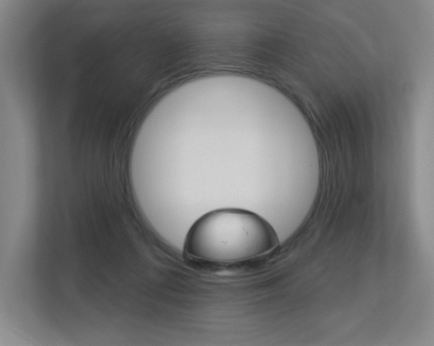 X0000113180312200909040959