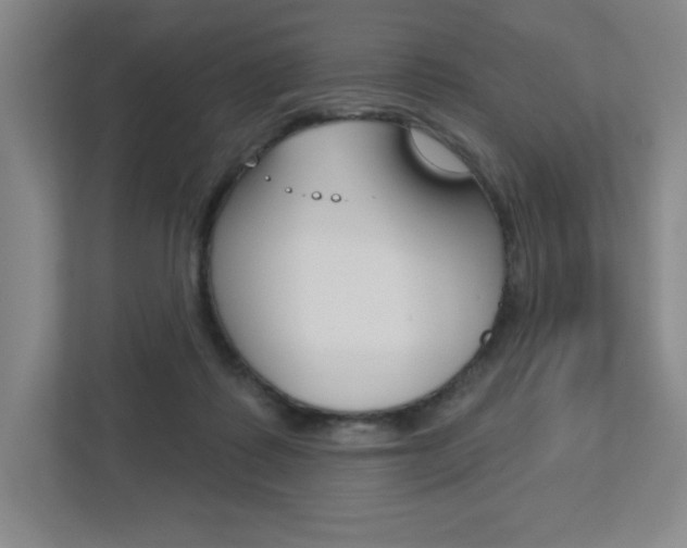 X0000113180315200909040959