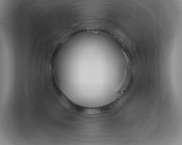 X0000113180327200909040959