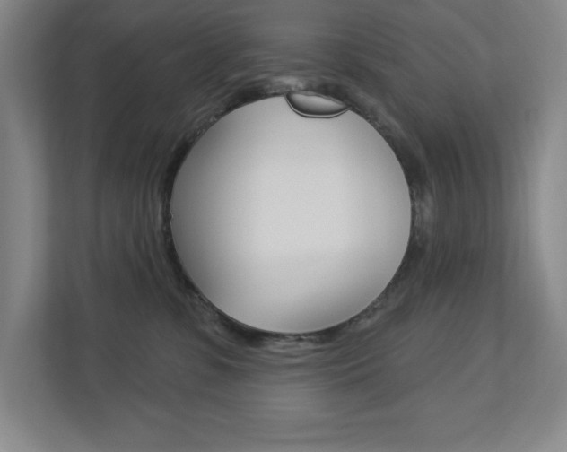 X0000113180331200909040959