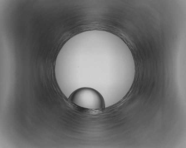 X0000113180333200909040959