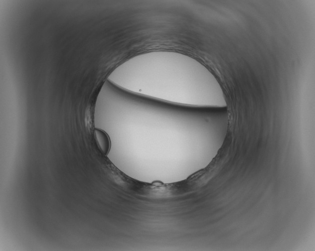 X0000113180335200909040959