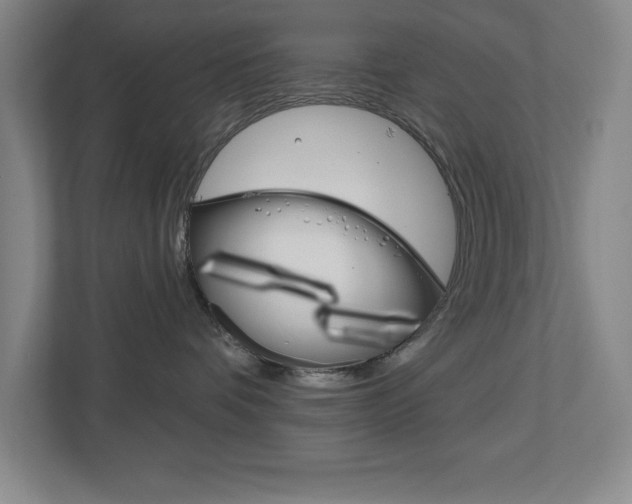 X0000113180336200909040959