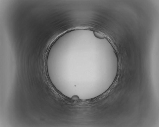 X0000113180337200909040958
