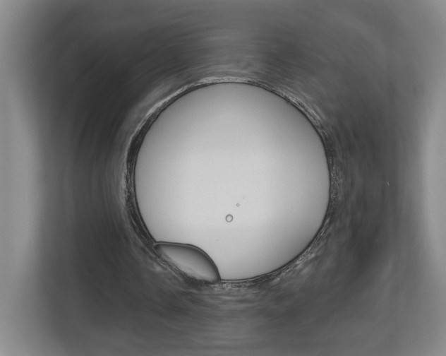X0000113180338200909040958