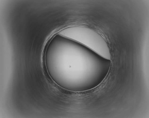 X0000113180340200909040958
