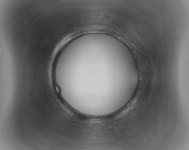 X0000113180341200909040958