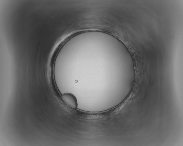 X0000113180342200909040958