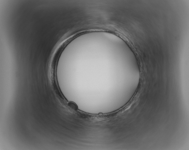 X0000113180343200909040959